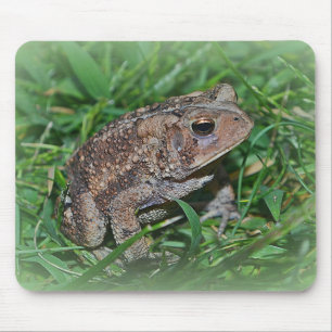 Frog Mousepad Muismat