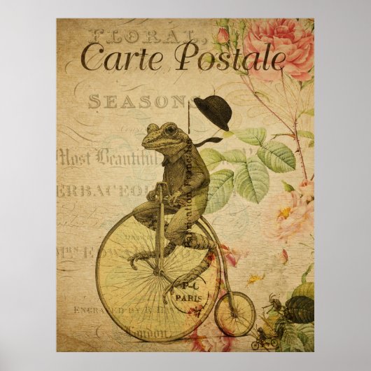 Frog on Bicycle Vintage French Postcard Poster (Voorkant)