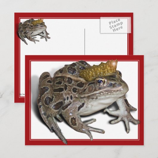 Frog Prince (Voeg Jouw tekst toe) Briefkaart (Voorkant / Achterkant)