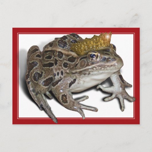 Frog Prince (Voeg Jouw tekst toe) Briefkaart (Voorkant)
