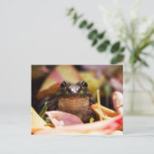 Frog Princess Briefkaart (Staand voorkant)