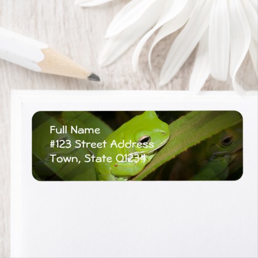 Frog Reflections Retouradres Label (Insitu)