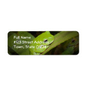 Frog Reflections Retouradres Label (Voorkant)