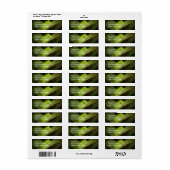 Frog Reflections Retouradres Label (Full Sheet)