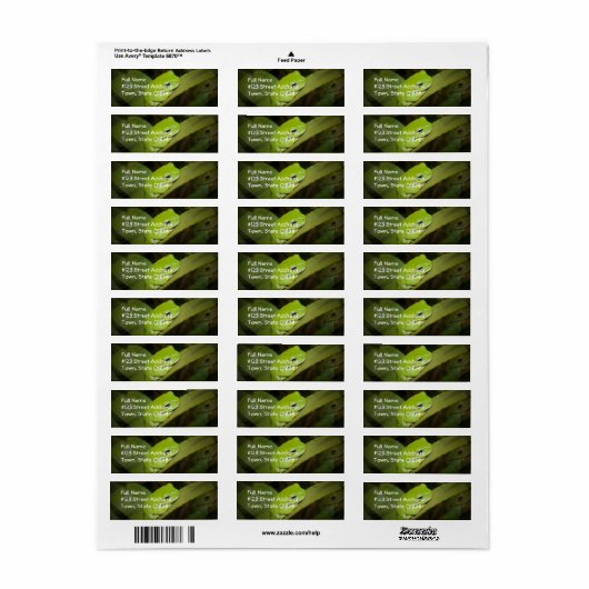 Frog Reflections Retouradres Label (Full Sheet)