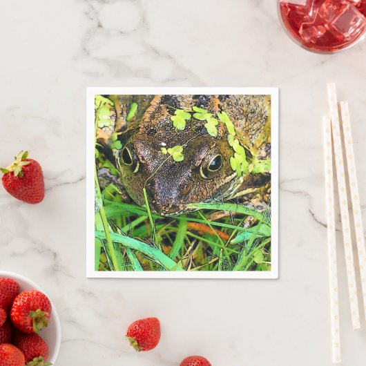 FROG SERVETTEN (Insitu)