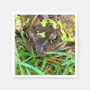 FROG SERVETTEN