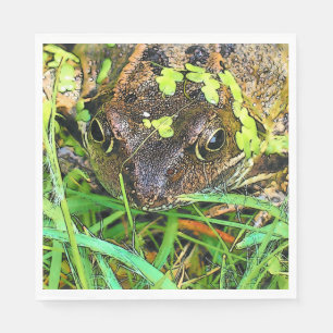FROG SERVETTEN