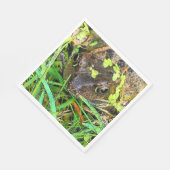 FROG SERVETTEN (Hoek)