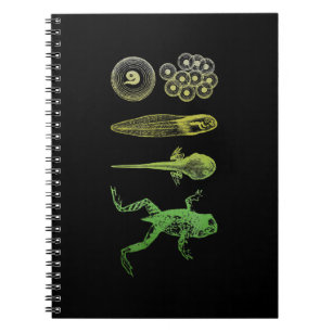 Frog Tadpole  Metamorphosis Life Cycle Biology Notitieboek