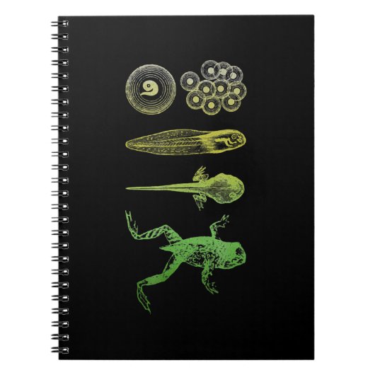 Frog Tadpole  Metamorphosis Life Cycle Biology Notitieboek (Voorkant)