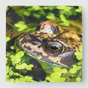 FROG VIERKANTE KLOK