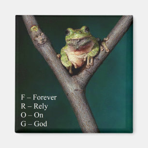 FROG - voor altijd vertrouwen op God - Magnet