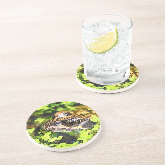 FROG ZANDSTEEN ONDERZETTER (Zijkant)