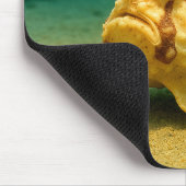 Frogfish & Furious Muismat (Hoek)