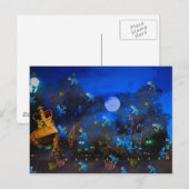 Froggie Night Briefkaart (Voorkant / Achterkant)