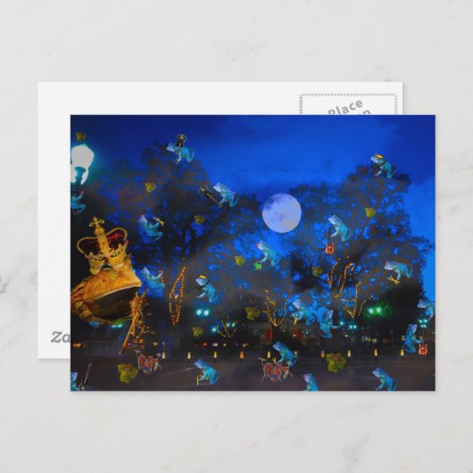 Froggie Night Briefkaart (Voorkant / Achterkant)