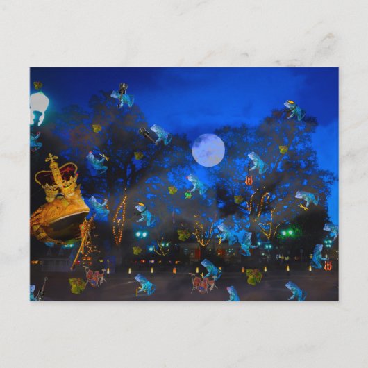 Froggie Night Briefkaart (Voorkant)
