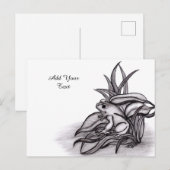 Froggy Briefkaart (Voorkant / Achterkant)