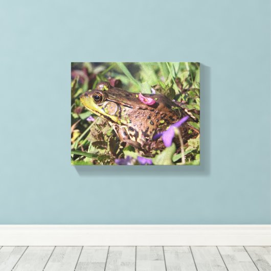Froggy Canvas Afdruk (Insitu (Houten vloer))