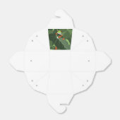 Froggy Forest Favor Box Bedankdoosjes (Uitgevouwen)