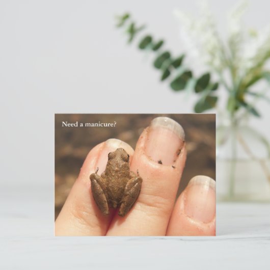 Froggy Hand Briefkaart (Staand voorkant)