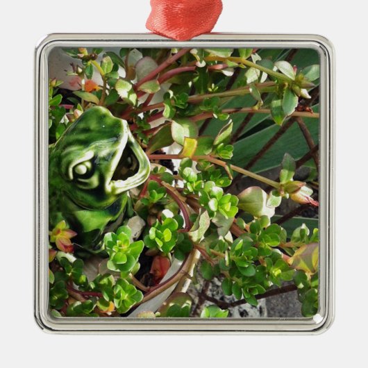 Froggy Metalen Ornament (Voorkant)