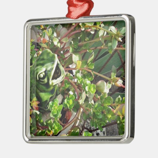 Froggy Metalen Ornament (Links)