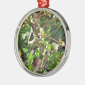 Froggy Metalen Ornament (Links)