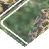 Froggy Tafelkleed (Gekanteld)