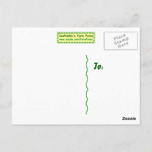 Froggy Wedding - Honeymooners Briefkaart (Achterkant)