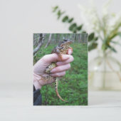 Froggylicious! briefkaart (Staand voorkant)