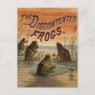 Frogs Lily Pads Moon Illustratie Briefkaart