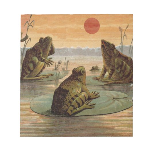 Frogs Lily Pads Moon Illustratie Notitieblok (Voorkant)
