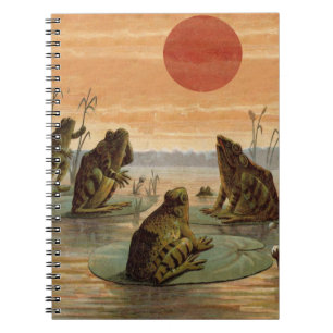 Frogs Lily Pads Moon Illustratie Notitieboek