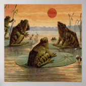 Frogs Lily Pads Moon Illustratie Poster (Voorkant)