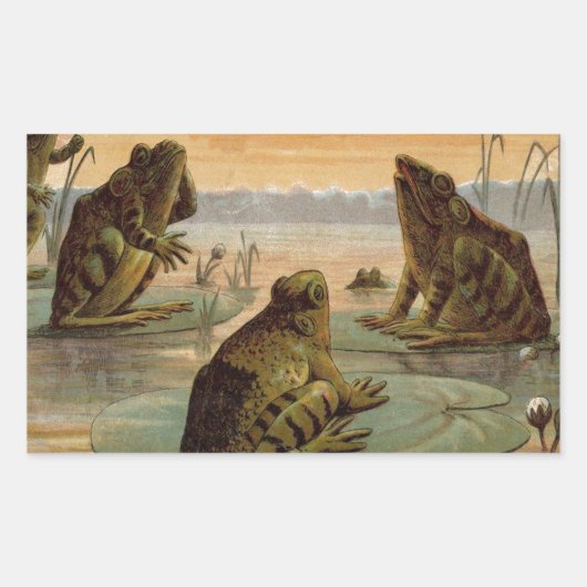 Frogs Lily Pads Moon Illustratie Rechthoekige Sticker (Voorkant)