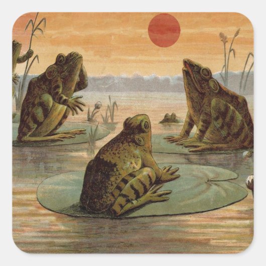 Frogs Lily Pads Moon Illustratie Vierkante Sticker (Voorkant)