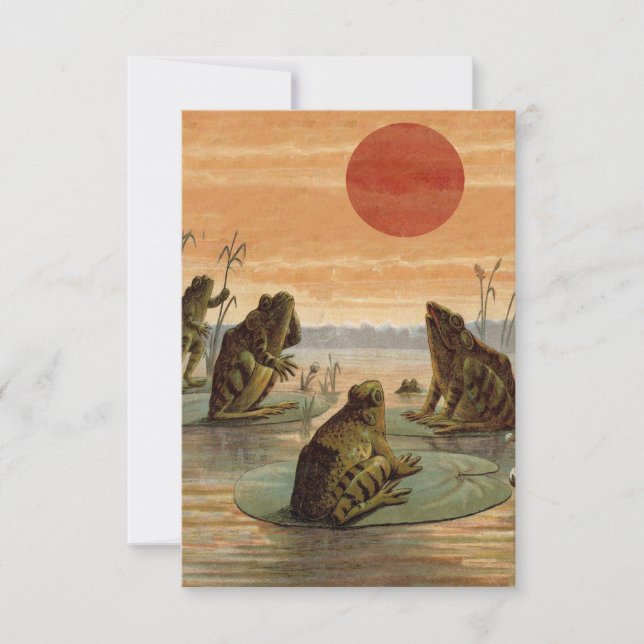 Frogs Lily Pads Moon Illustration (Voorkant)