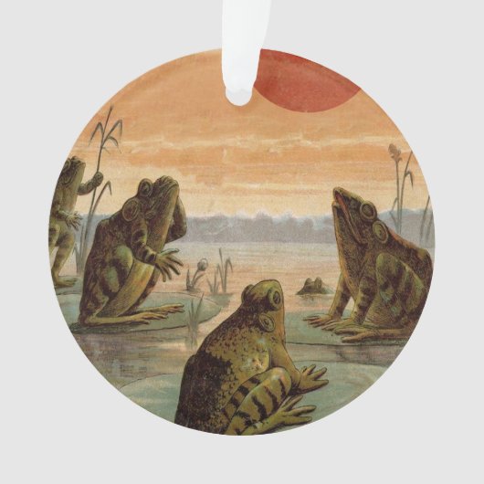 Frogs Lily Pads Moon Illustration Ornament (voorkant)