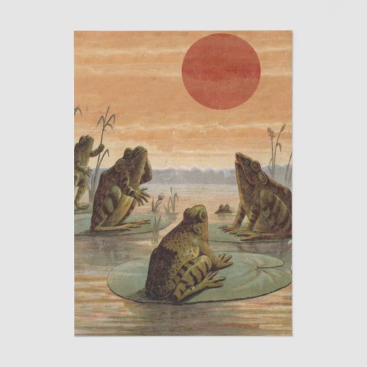 Frogs Lily Pads Moon Illustration Tissuepapier (Voorkant)