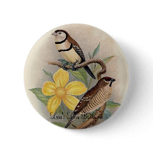 Frohawk - Finch & Cherry Finch van Bicheno