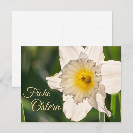 Frohe Ostern mit Blumengruß Briefkaart (Voorkant / Achterkant)