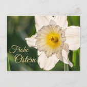 Frohe Ostern mit Blumengruß Briefkaart (Voorkant)
