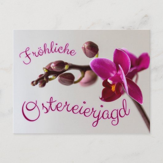 Frohe Ostern mit fröhlicher Ostereierjagd! Briefkaart (Voorkant)