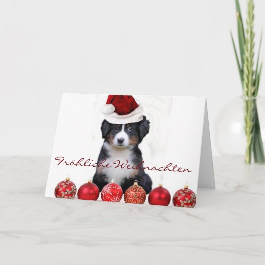 Fröhliche Weihnachten Berner Sennenhond kaart (Voorkant)