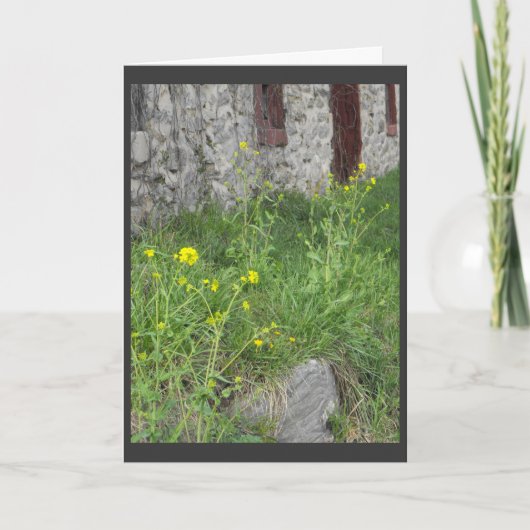 . .from de ouder. 3 feestdagen kaart (Voorkant)