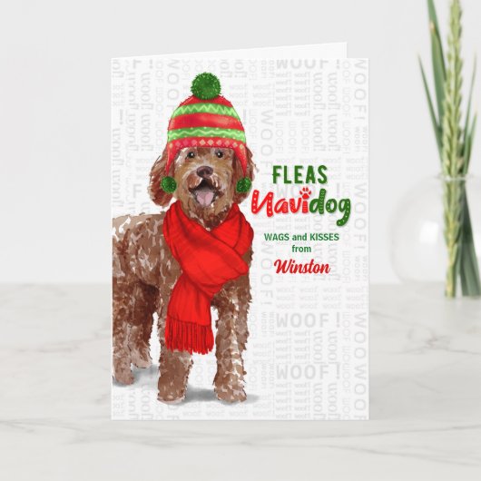 from the Dog Funny Labradoodle Christmas Feestdagen Kaart (Voorkant)