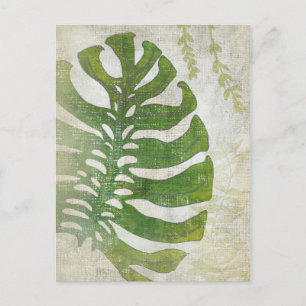 Frond III Briefkaart