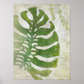 Frond III Poster (Voorkant)